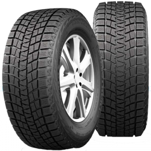 ICEMAX RW501