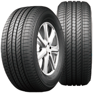 PRACTICALMAX H/T RS21